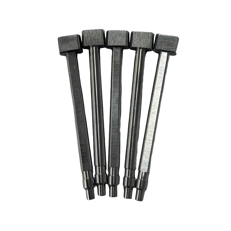 Back Mold Pin